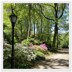Framed art print of Central Park walkway on premium matte paper with a white wooden frame, part of the Studio Edition travel collection.