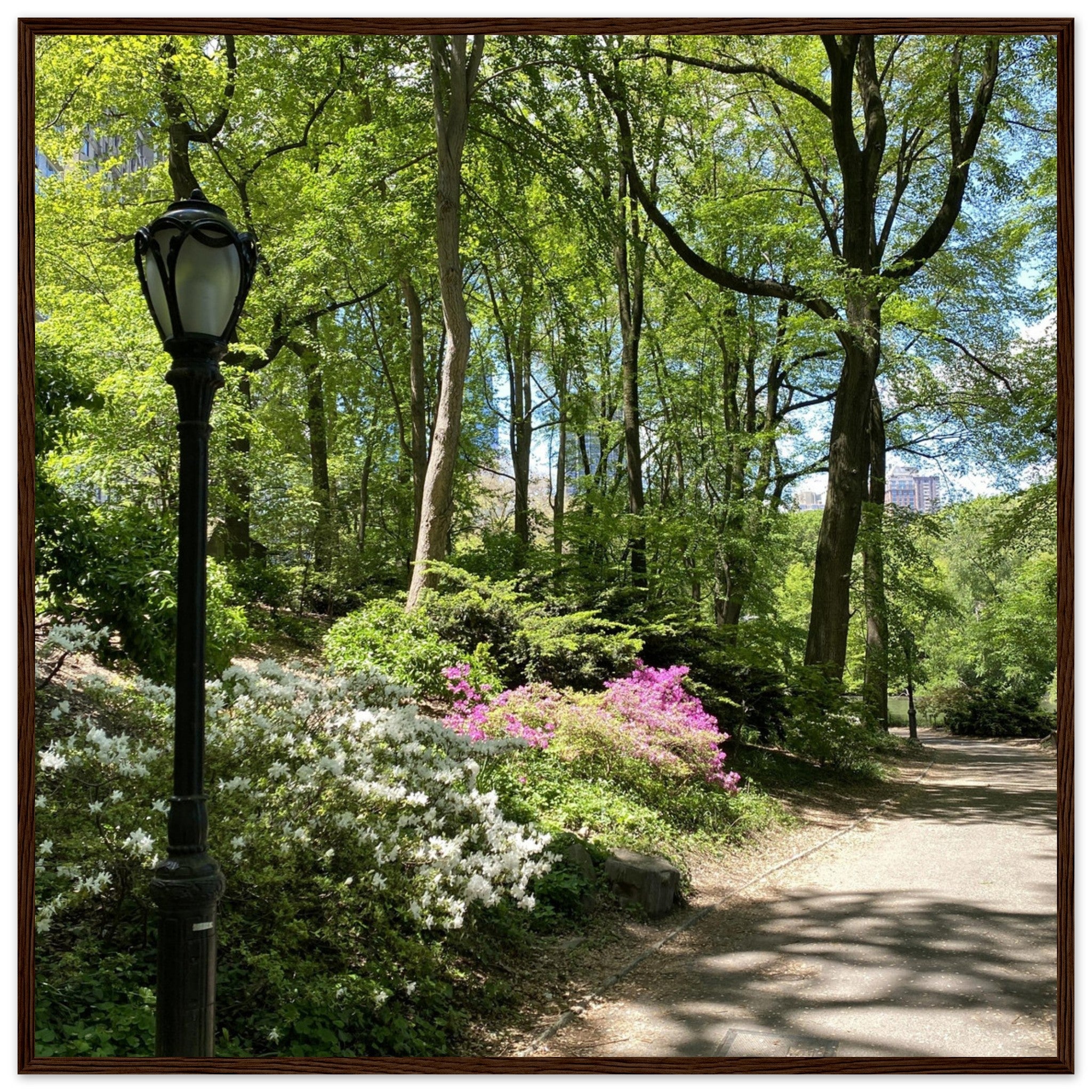 Central Park walkway framed art print on premium matte paper with a white wooden frame, part of the Studio Edition travel collection.