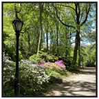 Framed art print of a Central Park walkway scene on premium matte paper with a white wooden frame, part of the Travel Collection.
