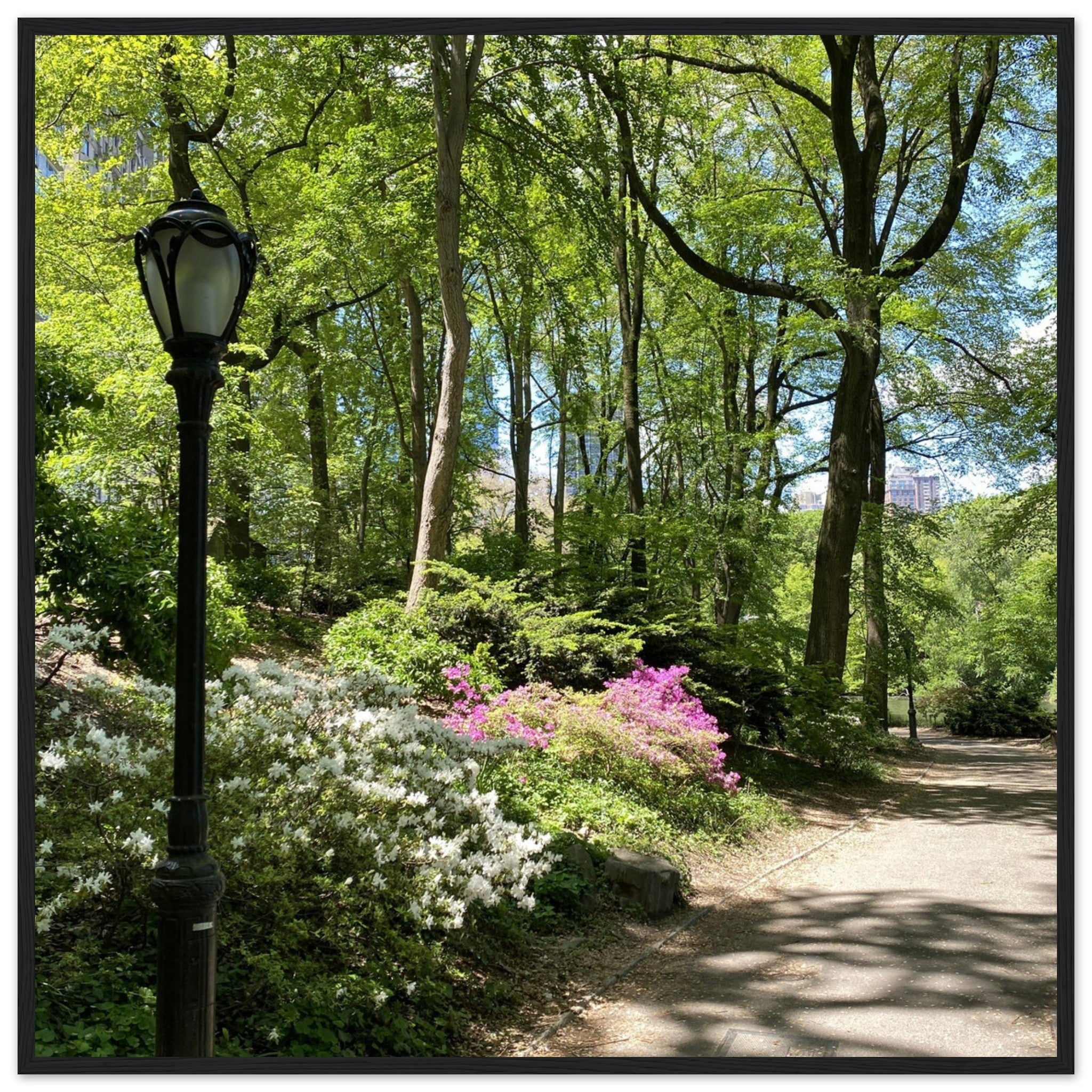 Framed art print of a Central Park walkway scene on premium matte paper with a white wooden frame, part of the Travel Collection.