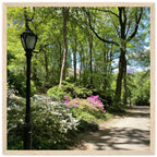 Framed art print of Central Park walkway on premium matte paper with wooden frame, part of the Serene Stroll travel collection.