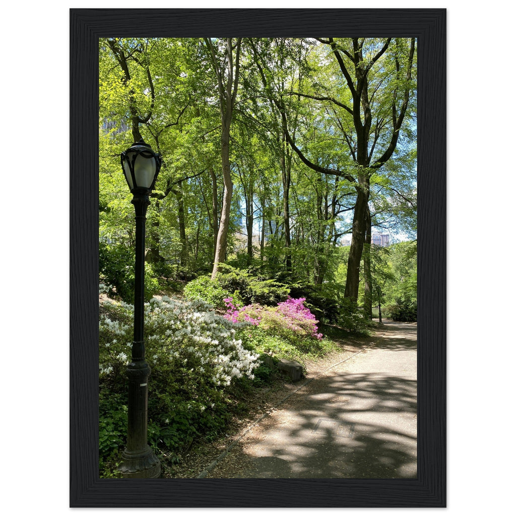 Framed art print of a Central Park walkway on premium matte paper with a white wooden frame, part of the Travel Collection.