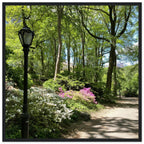 Framed art print of Central Park walkway on premium matte paper with a wooden frame, from the Serene Stroll Travel Collection.
