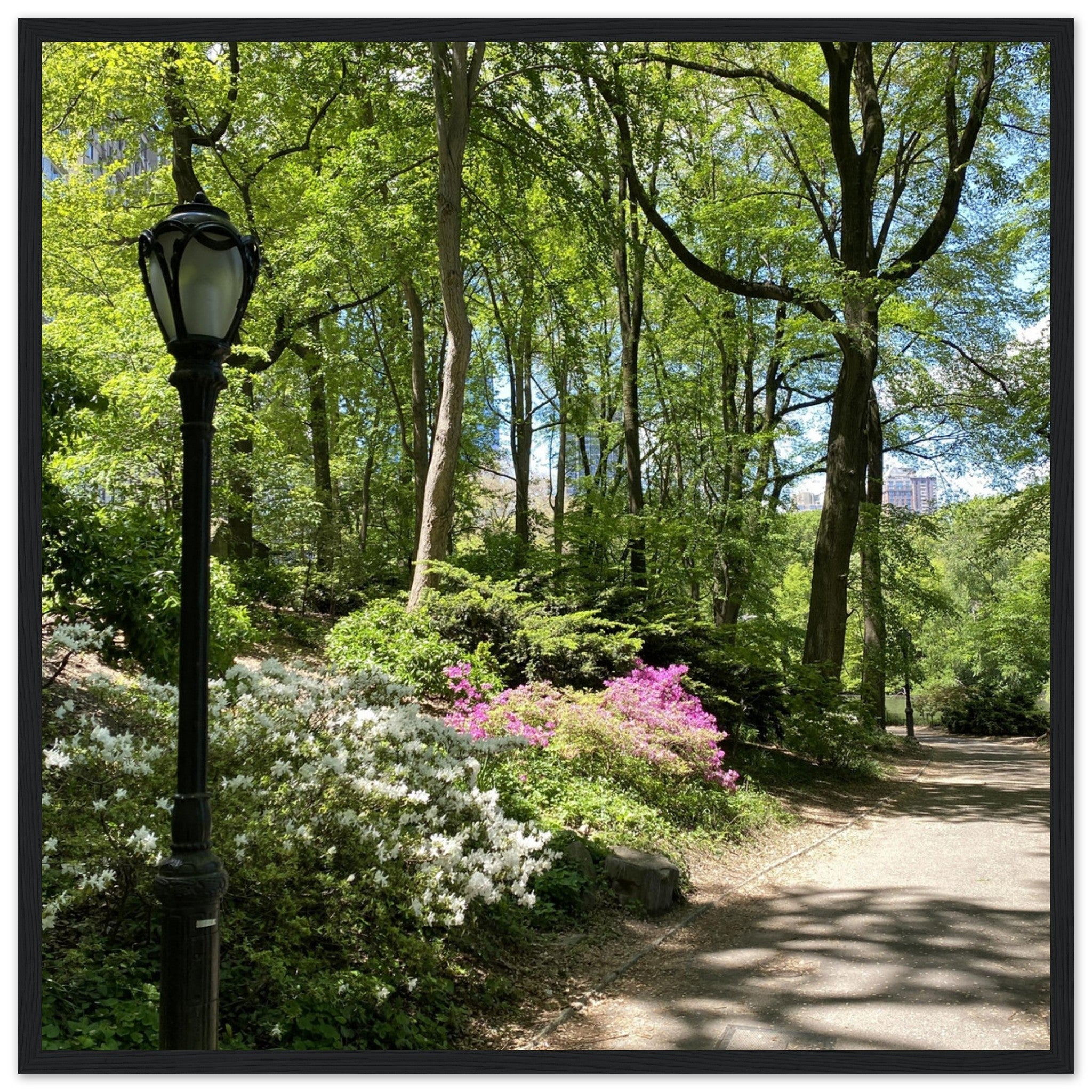 Framed art print of Central Park walkway on premium matte paper with a wooden frame, from the Serene Stroll Travel Collection.