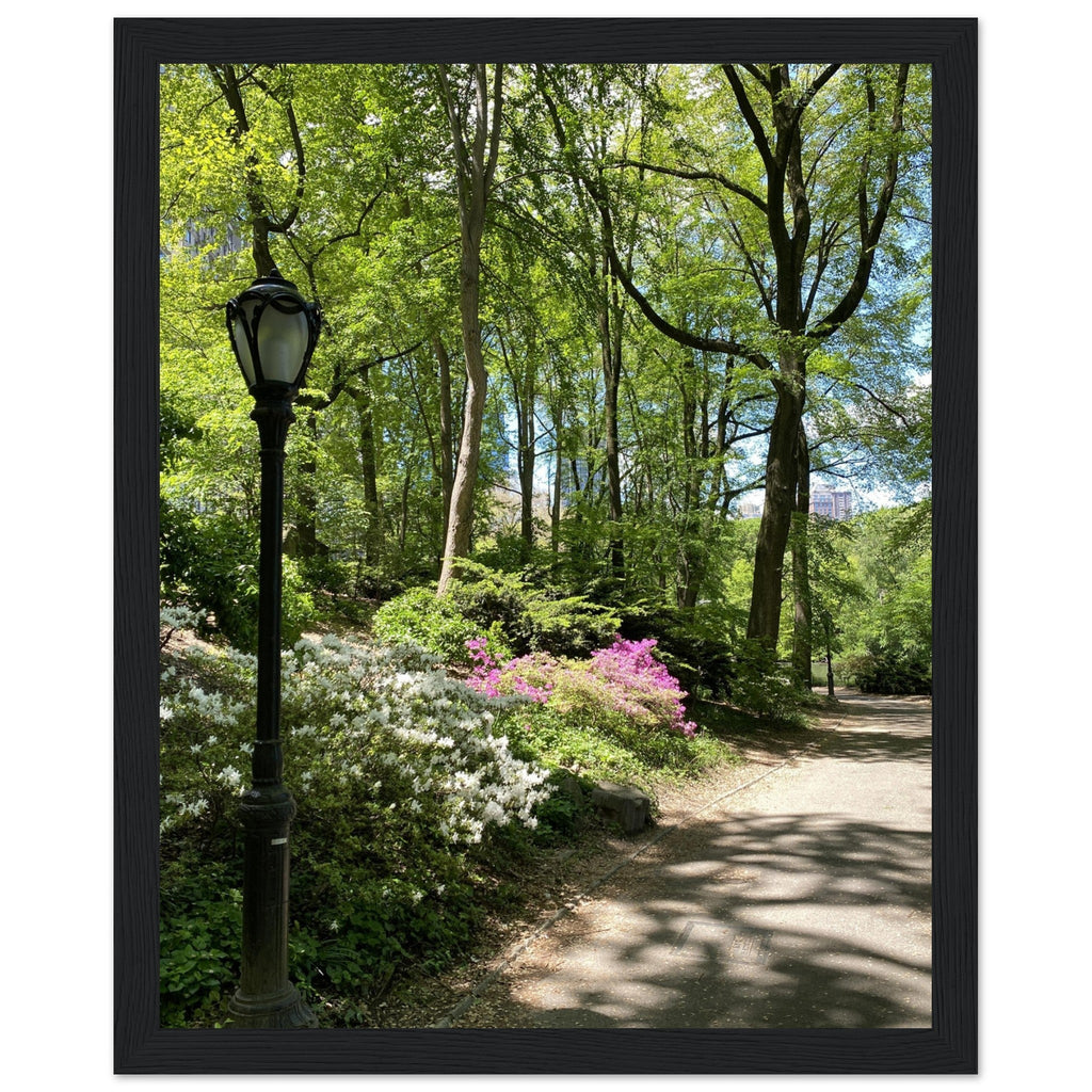 Framed art print of Central Park walkway on premium matte paper with white wooden frame, part of the Travel Collection Studio Edition.