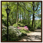 Framed art print of Central Park walkway on premium matte paper with a white wooden frame, part of the Travel Collection Studio Edition.