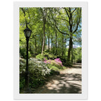 Framed art print of Central Park walkway on premium matte paper with a white wooden frame, part of the Travel Collection Studio Edition.