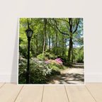 Serene Stroll Central Park walkway framed art print on premium matte paper with white wooden frame, part of the Travel Collection.