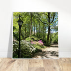 Framed art print of Central Park walkway on premium matte paper with a white wooden frame, part of the Studio Edition travel collection.