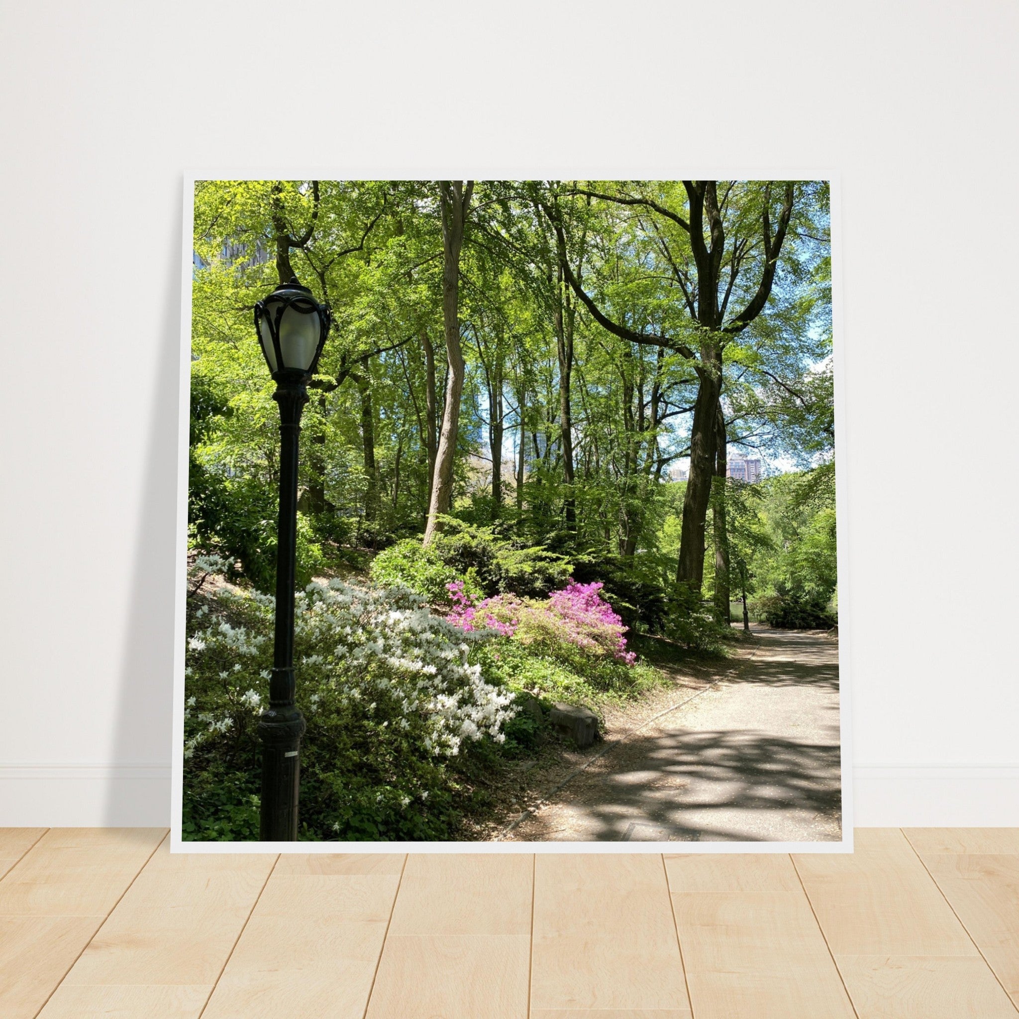 Framed art print of a Central Park walkway on premium matte paper with a white wooden frame, part of the Studio Edition travel collection.