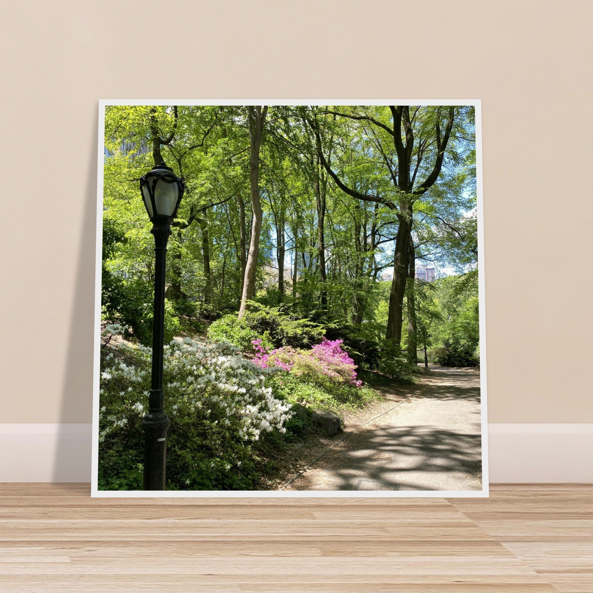 Framed art print of Central Park walkway on premium matte paper with a white wooden frame, part of the Studio Edition travel collection.