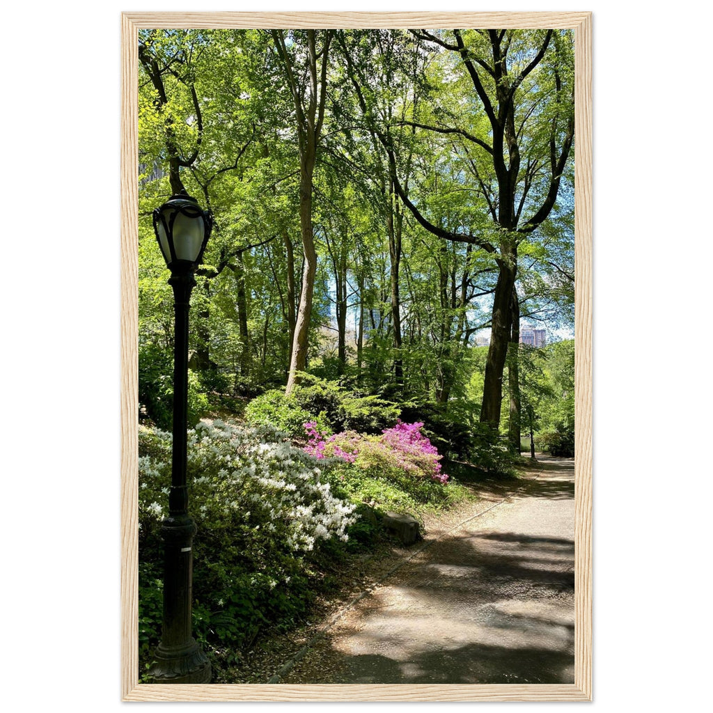Serene Central Park walkway framed print on premium matte paper with white wooden frame, perfect New York wall art.