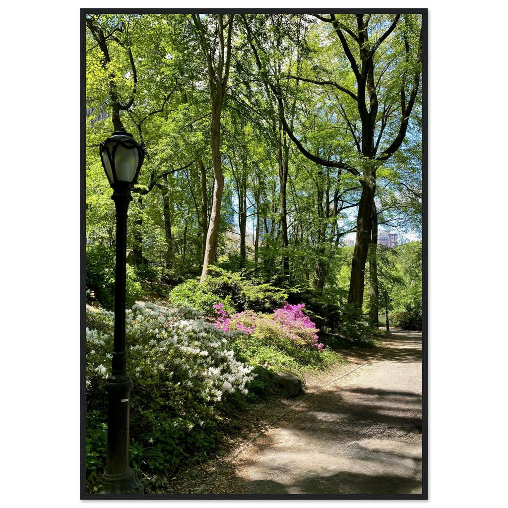 Serene Central Park walkway framed poster on premium matte paper with white wooden frame, depicting a peaceful New York scene.