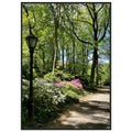 Serene Central Park walkway framed poster on premium matte paper with white wooden frame, depicting a peaceful New York scene.