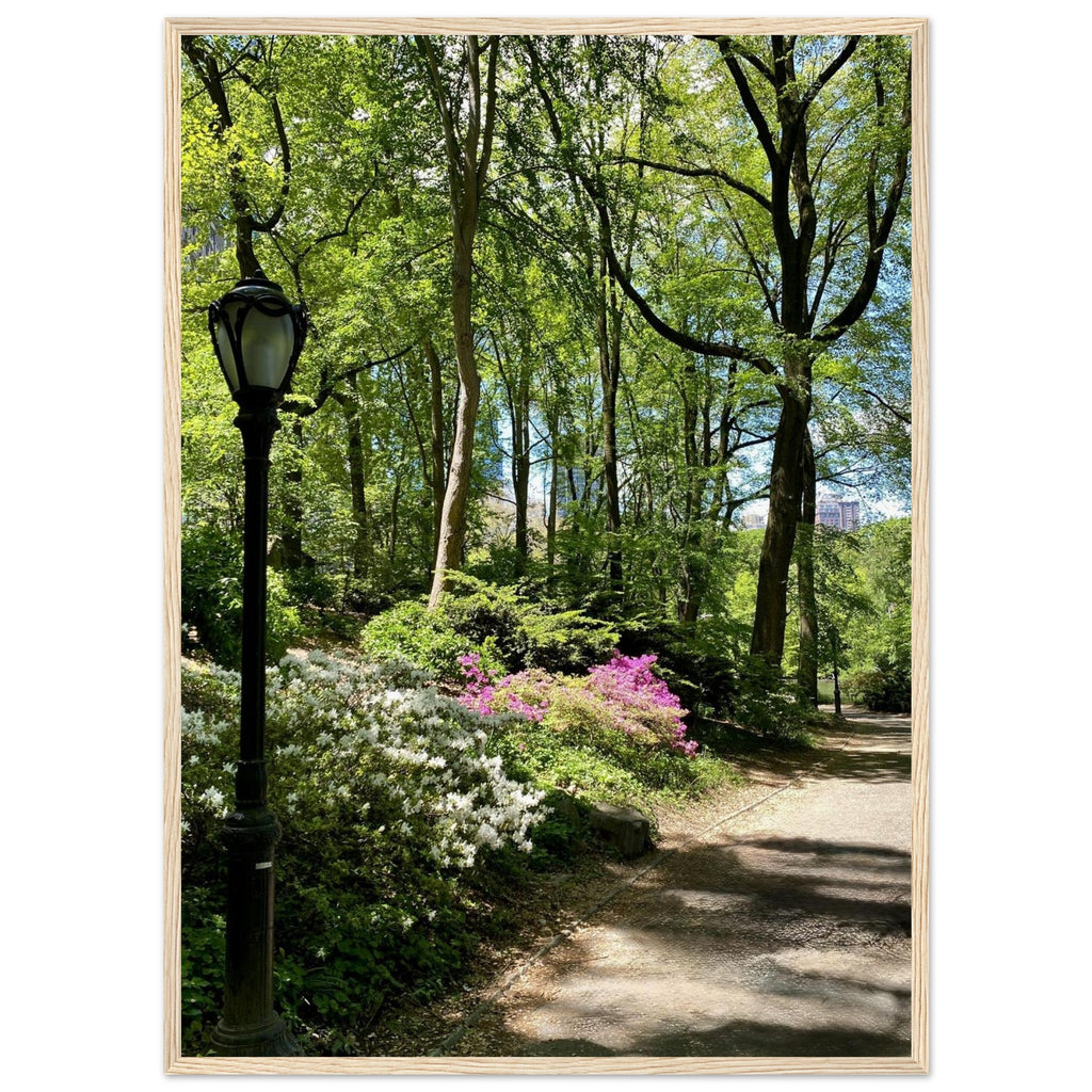 Serene Central Park walkway framed poster on premium matte paper with white wooden frame, featuring New York cityscape art.