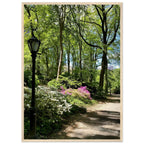 Serene Central Park walkway framed poster on premium matte paper with white wooden frame, featuring New York cityscape art.