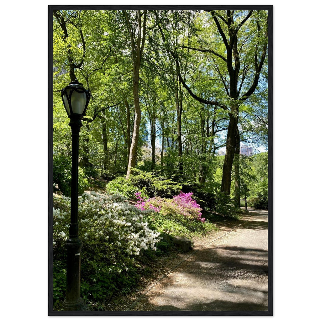 Serene Central Park walkway framed poster on premium matte paper with a wooden frame, showcasing soothing New York cityscape wall art.