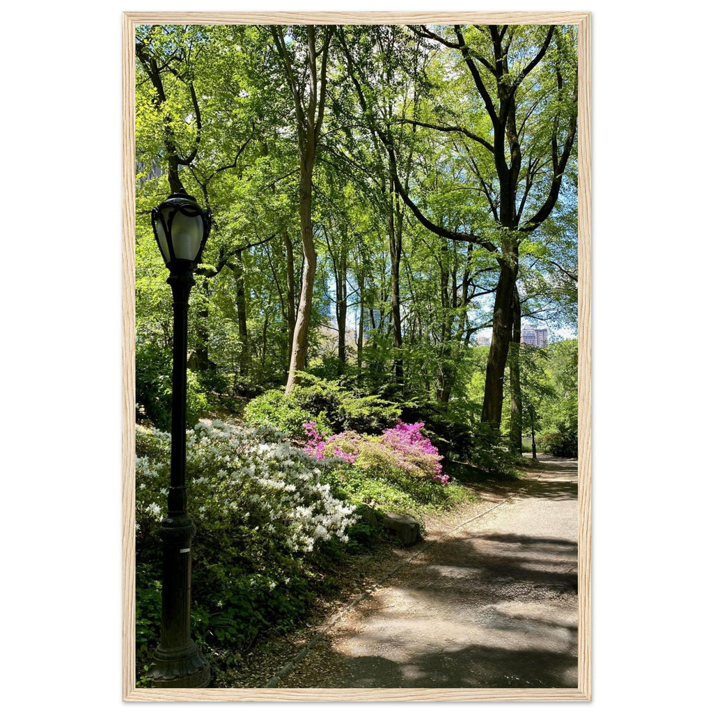 Serene Central Park Walkway framed poster, 15x20 cm print on premium matte paper with white wooden frame, New York wall art.