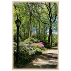 Serene Central Park Walkway framed poster, 15x20 cm print on premium matte paper with white wooden frame, New York wall art.
