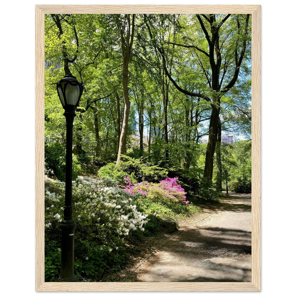 Serene Central Park Walkway framed print on premium matte paper with white wooden frame, showcasing a peaceful New York scene.