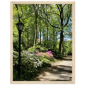 Serene Central Park Walkway framed print on premium matte paper with white wooden frame, showcasing a peaceful New York scene.