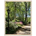 Serene Central Park Walkway framed print on premium matte paper with white wooden frame, showcasing a peaceful New York scene.