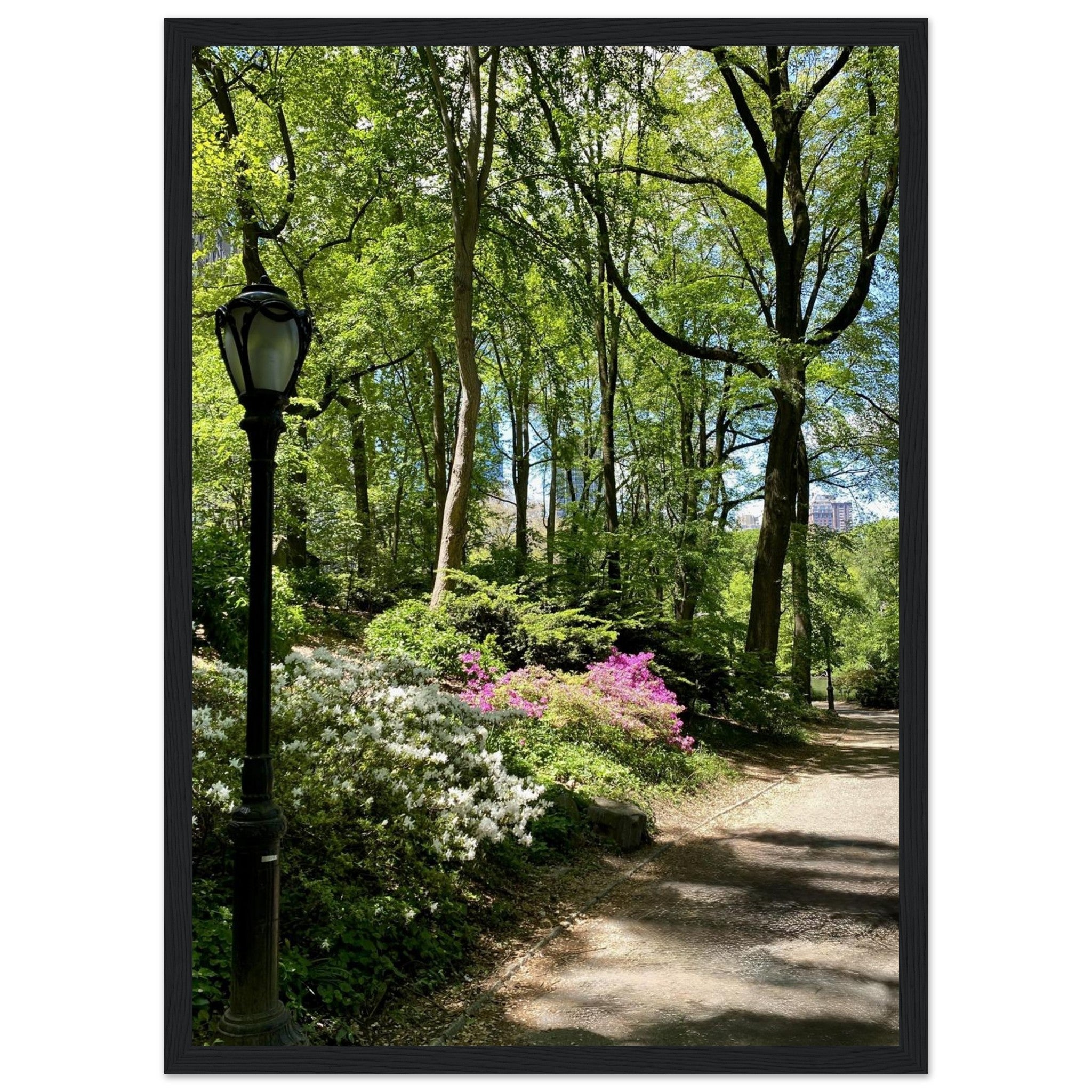 Framed art print of Central Park walkway on premium matte paper with wooden frame, part of the Travel Collection Studio Edition.