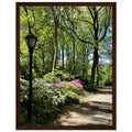 Serene Central Park walkway framed poster, 15x20 cm print on premium matte paper with a white wooden frame, depicting a peaceful stroll.