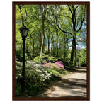 Serene Central Park walkway framed poster, 15x20 cm print on premium matte paper with a white wooden frame, depicting a peaceful stroll.