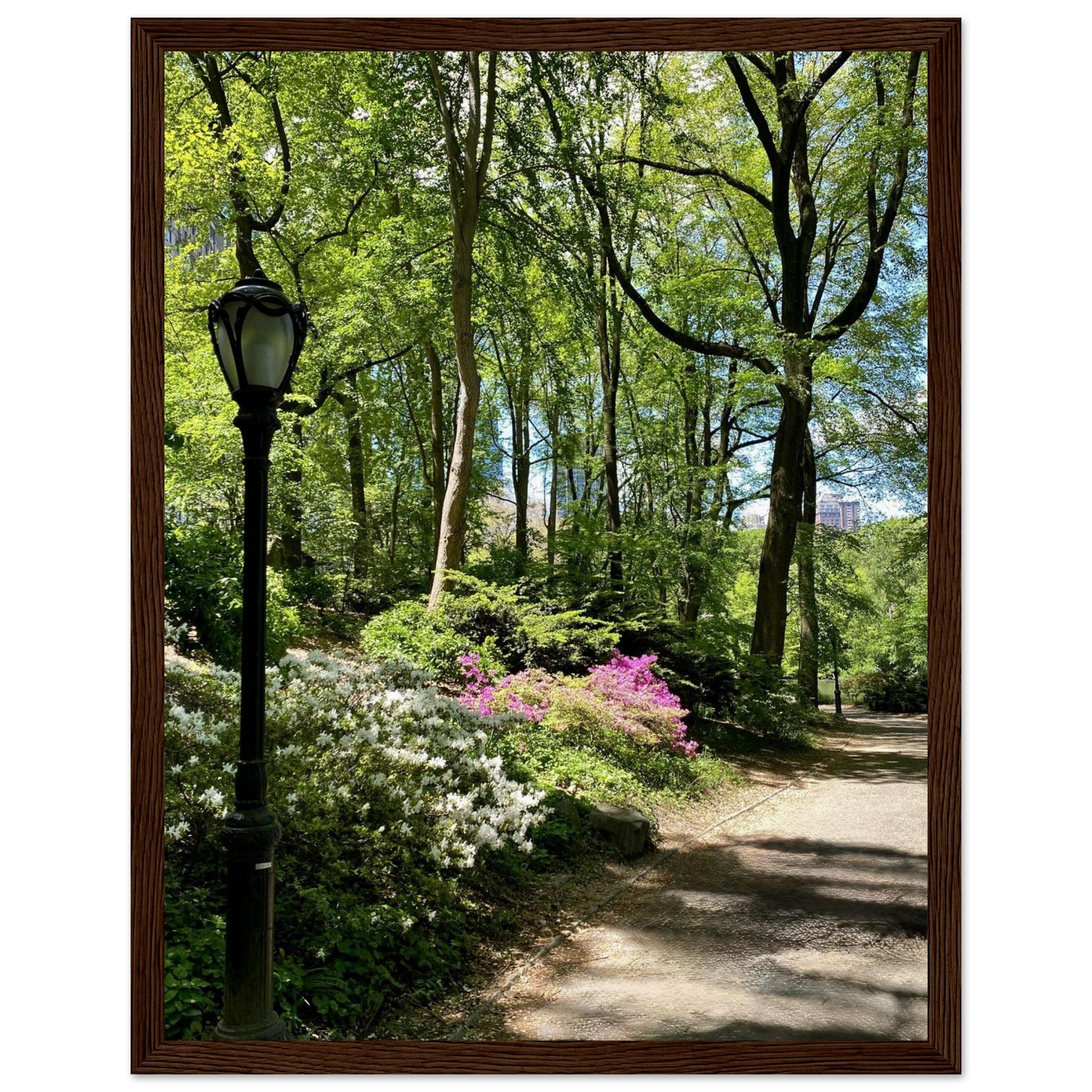 Framed art print of a serene Central Park walkway on premium matte paper with a wooden frame, part of the Travel Collection.
