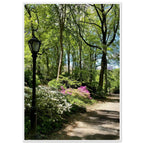 Serene Central Park walkway framed poster on premium matte paper with white wooden frame, showcasing a peaceful New York scene.