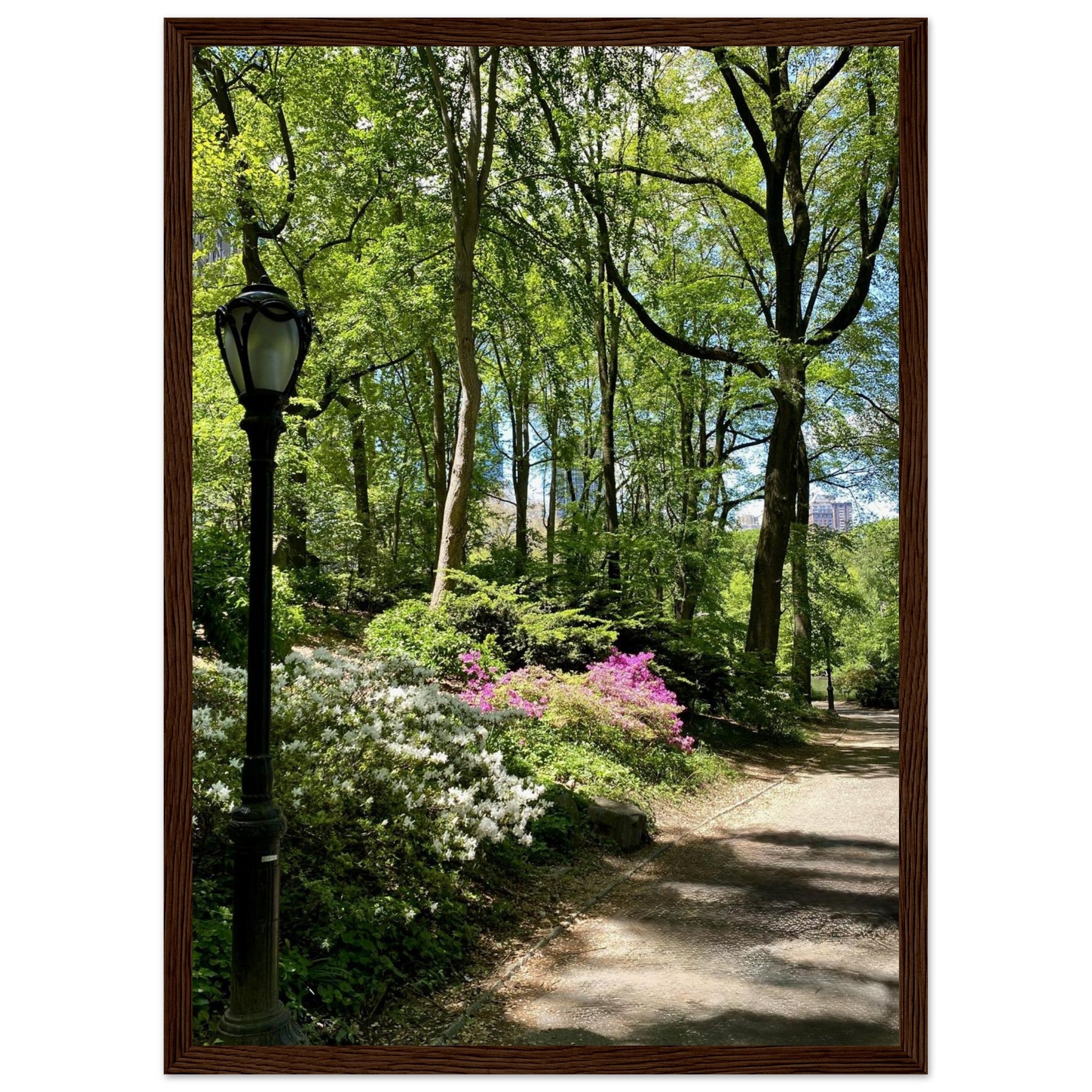 Framed art print of a serene Central Park walkway on premium matte paper with a wooden frame, part of the Travel Collection.