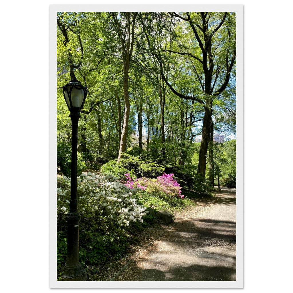 Serene Central Park walkway framed print on premium matte paper with white wooden frame, featuring a peaceful New York City scene.