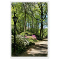 Serene Central Park walkway framed print on premium matte paper with white wooden frame, featuring a peaceful New York City scene.