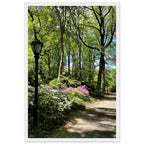 Serene Central Park walkway framed print on premium matte paper with white wooden frame, featuring a peaceful New York City scene.