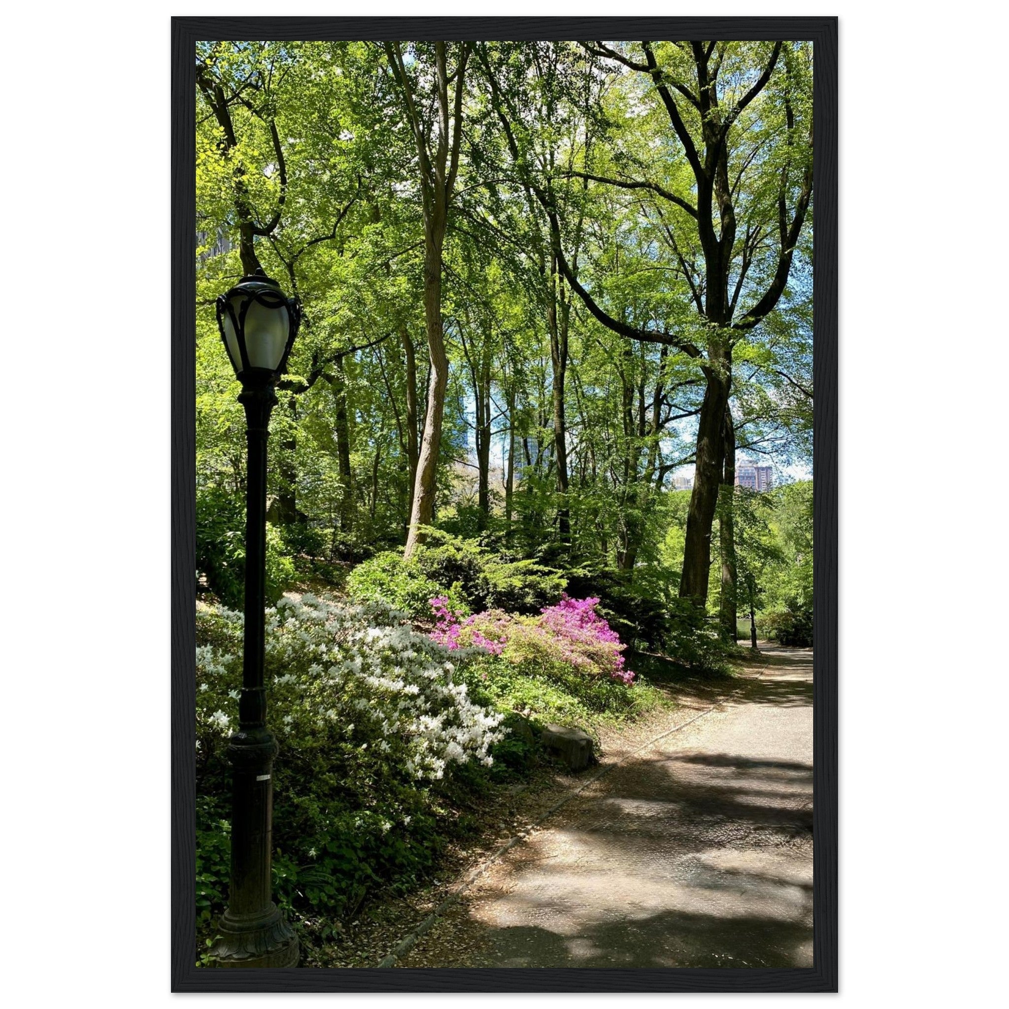 Wooden framed print of a serene Central Park walkway, printed on premium matte paper, part of the Studio Edition travel collection.