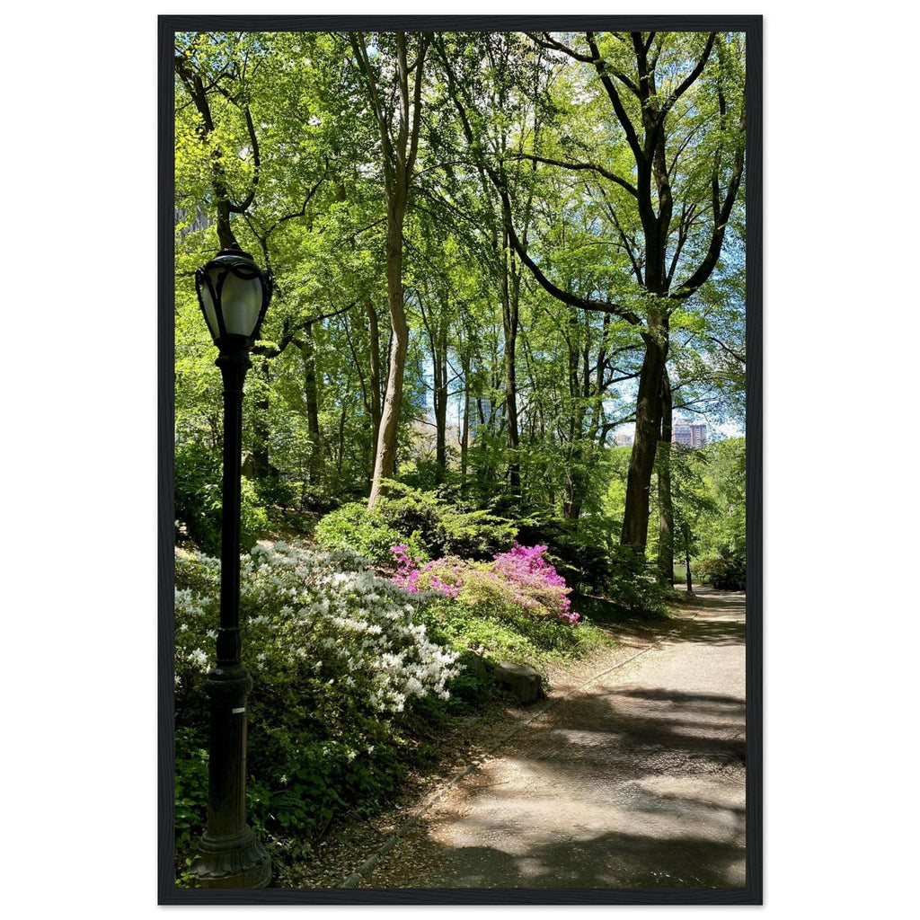 Framed print of Central Park walkway wall art on premium matte paper with a white wooden frame, showcasing a serene New York scene.