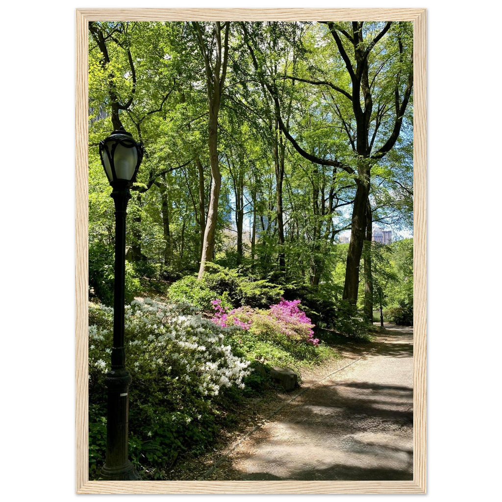 Serene Central Park walkway framed poster on premium matte paper with white wooden frame, featuring a peaceful New York scene.