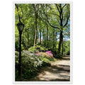 Serene Central Park walkway framed poster on premium matte paper, wooden frame, featuring a tranquil New York scene.