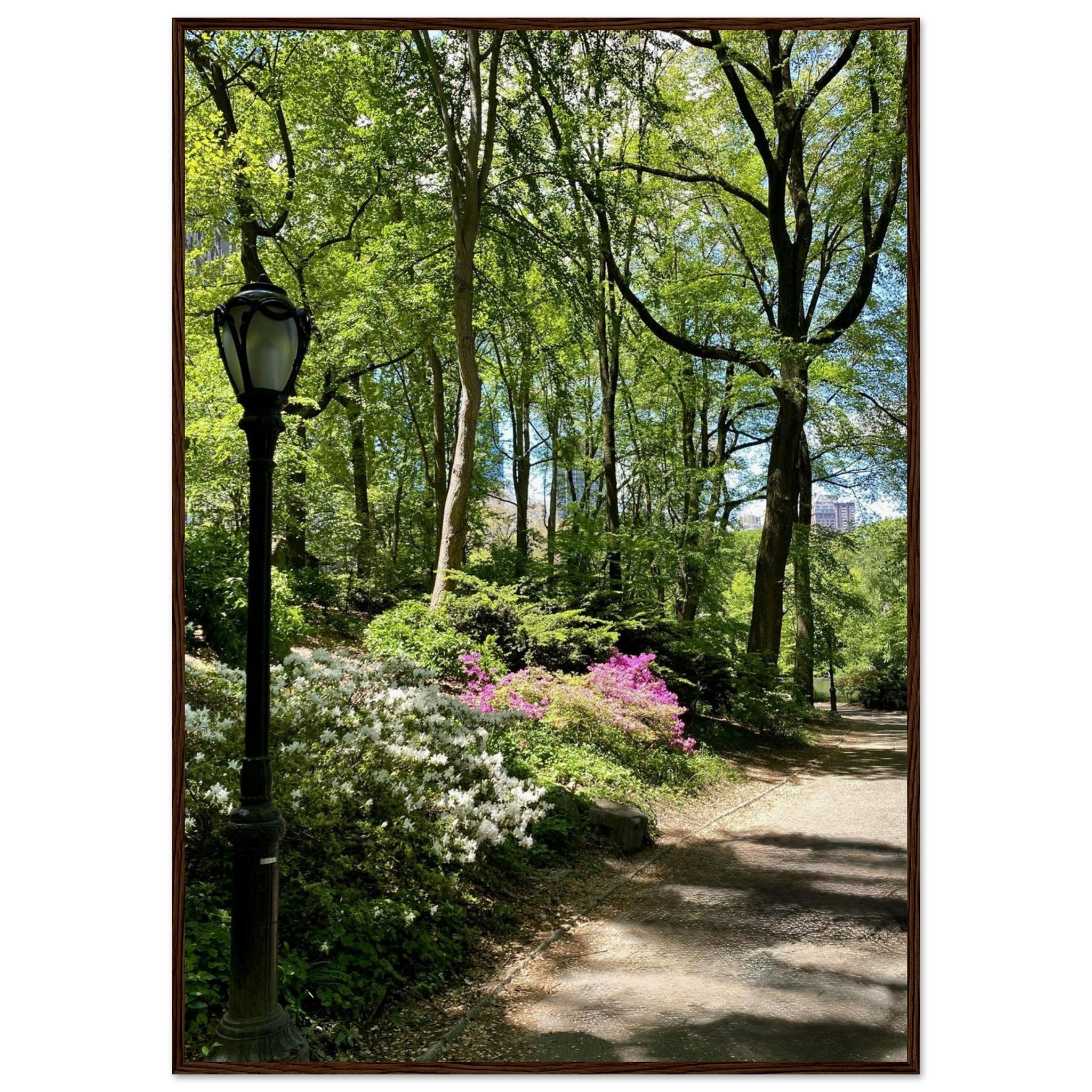 Framed art print of Central Park walkway on premium matte paper with wooden frame from the Serene Stroll Travel Collection.