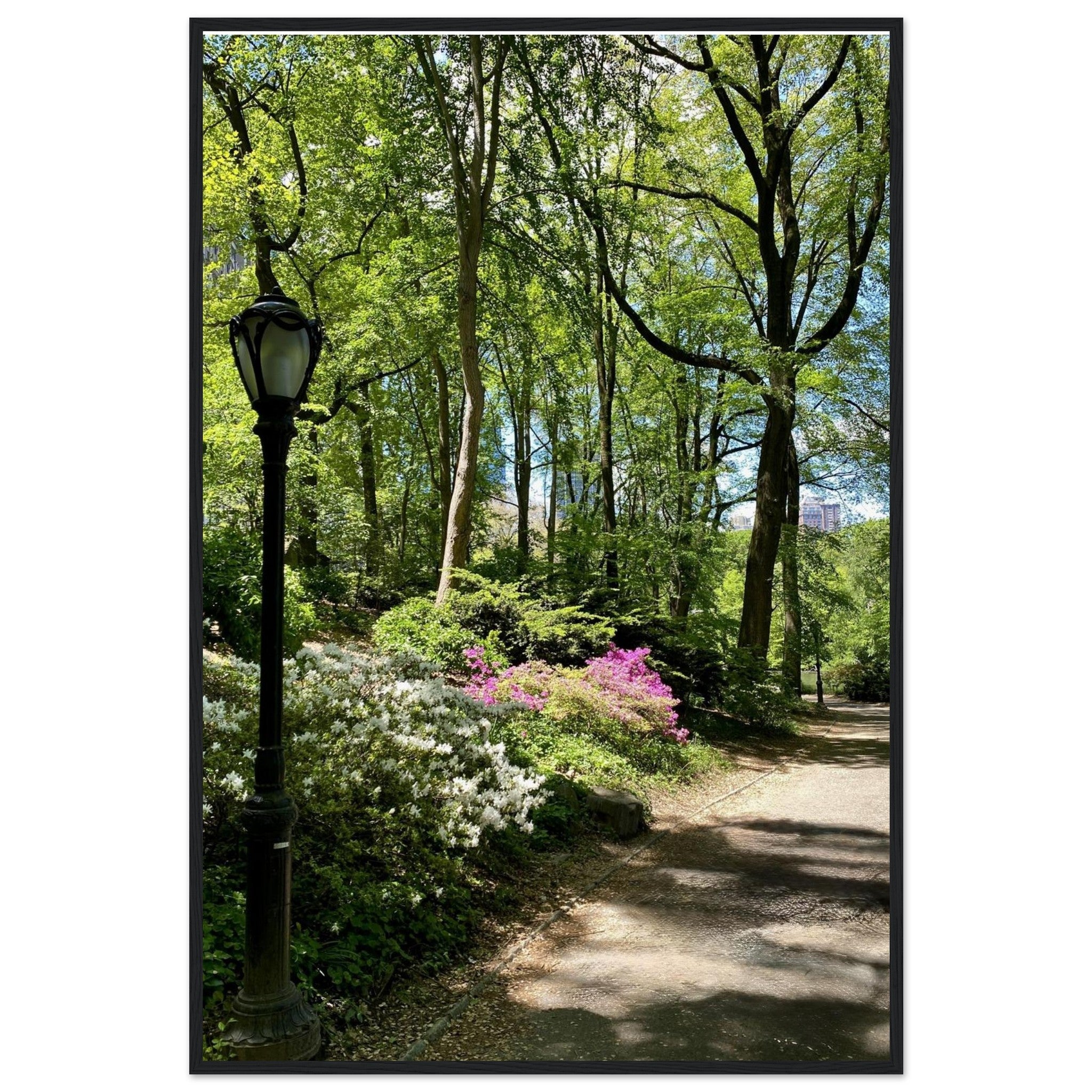Framed art print of a Central Park walkway titled "Serene Stroll," on premium matte paper with a wooden frame, from the Travel Collection.