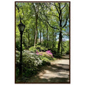 Serene Central Park walkway framed poster, 15x20 cm print on premium matte paper with white wooden frame, New York wall art.