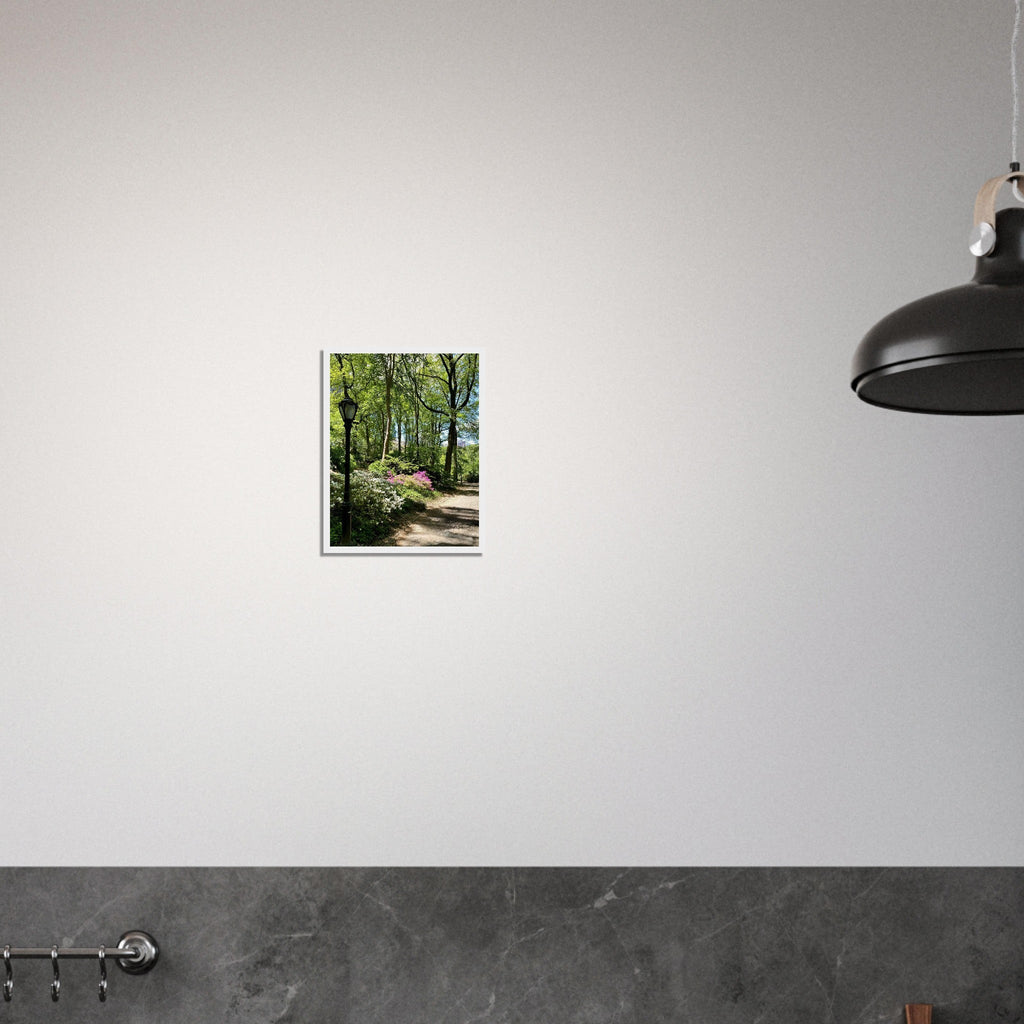 Serene Stroll Central Park walkway framed art print on premium matte paper with white wooden frame, part of Studio Edition travel collection.