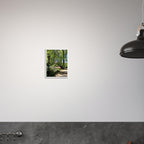 Serene Stroll Central Park walkway framed art print on premium matte paper with white wooden frame, part of Studio Edition travel collection.