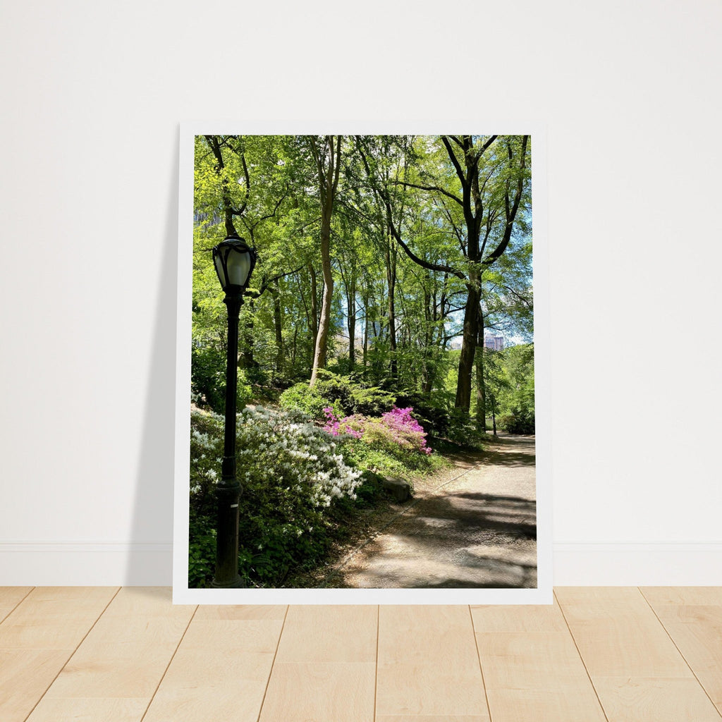 Framed art print of a Central Park walkway on premium matte paper with a white wooden frame, part of the Travel Collection Studio Edition.