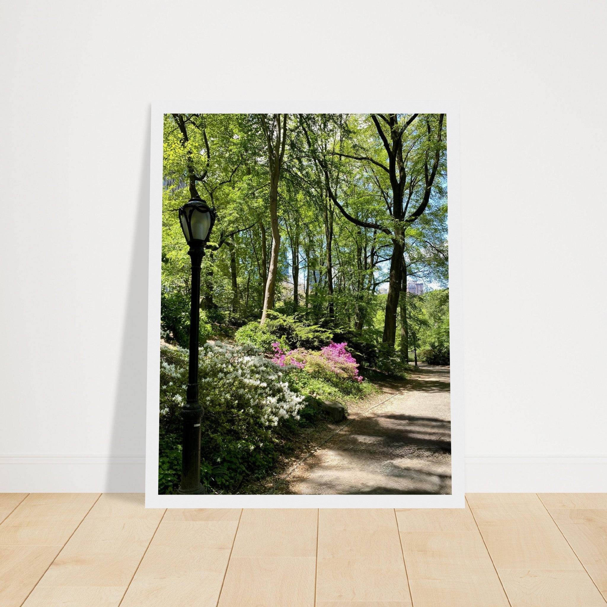Framed art print of a Central Park walkway on premium matte paper with a white wooden frame, part of the Travel Collection Studio Edition.