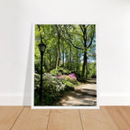 Framed art print of Central Park walkway on premium matte paper with a white wooden frame, part of the Travel Collection Studio Edition.