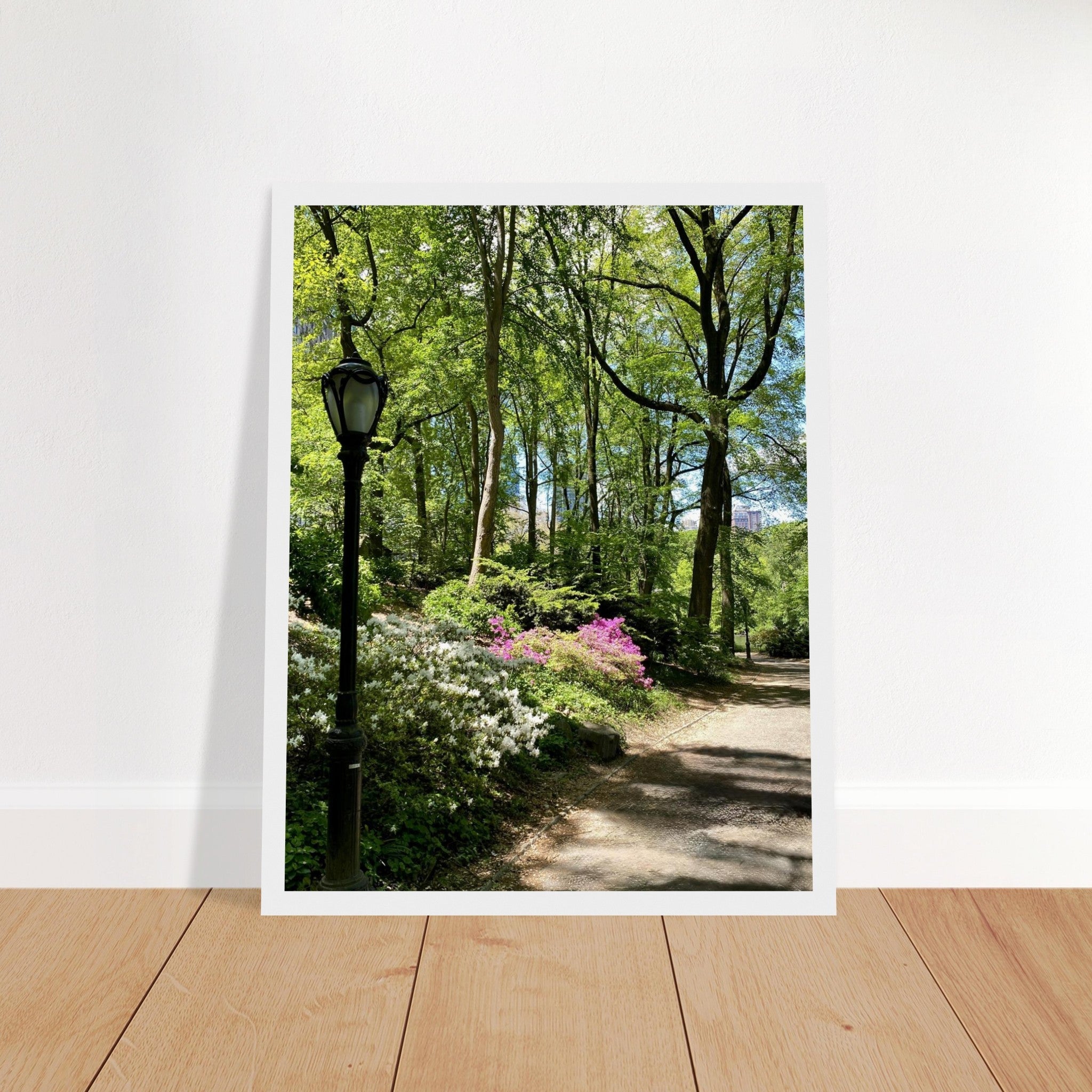 Framed art print of Central Park walkway on premium matte paper with a white wooden frame, part of the Travel Collection Studio Edition.