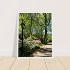 Framed art print of Central Park walkway on premium matte paper with wooden frame, part of the Studio Edition travel collection.