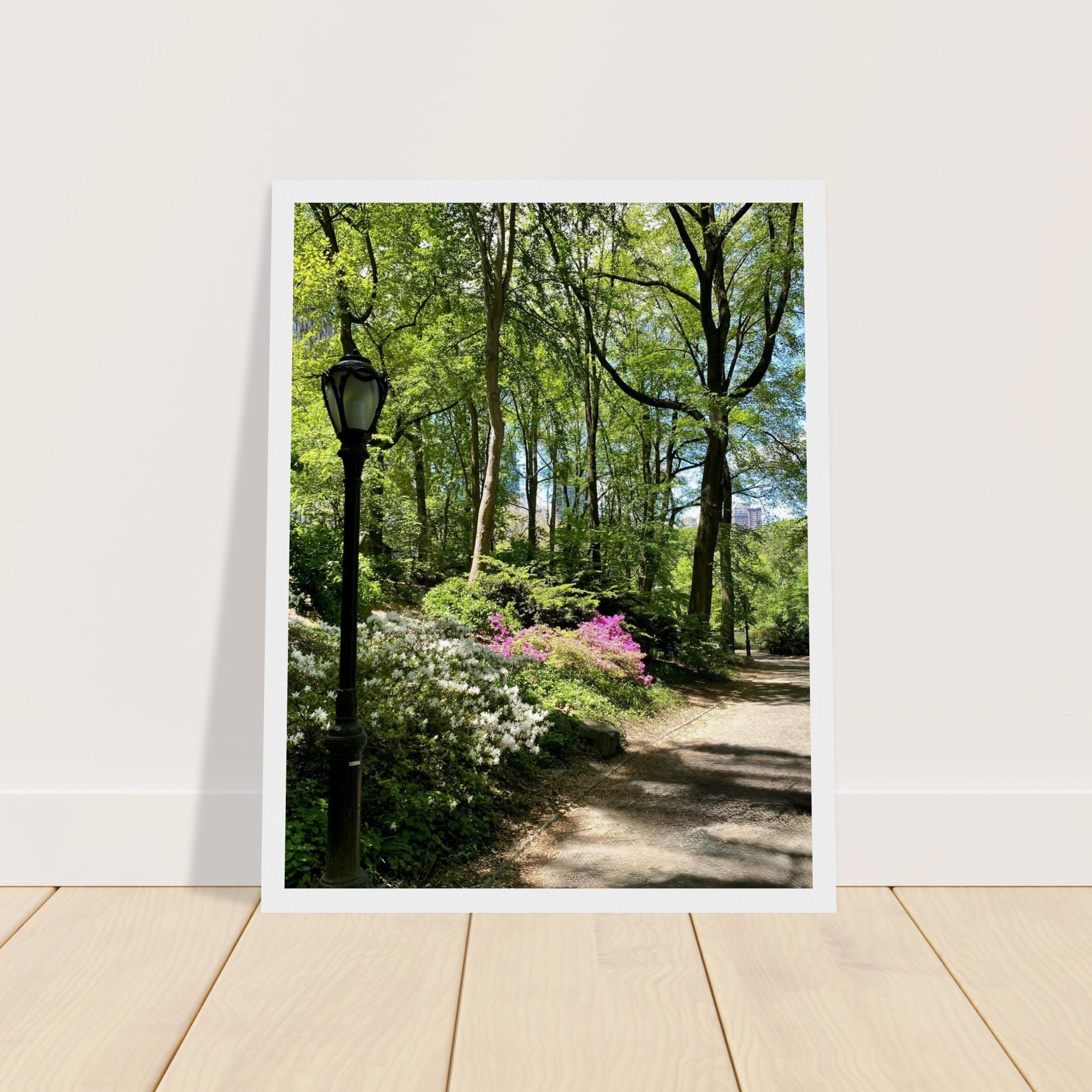 Framed art print of Central Park walkway on premium matte paper with wooden frame, part of the Studio Edition travel collection.